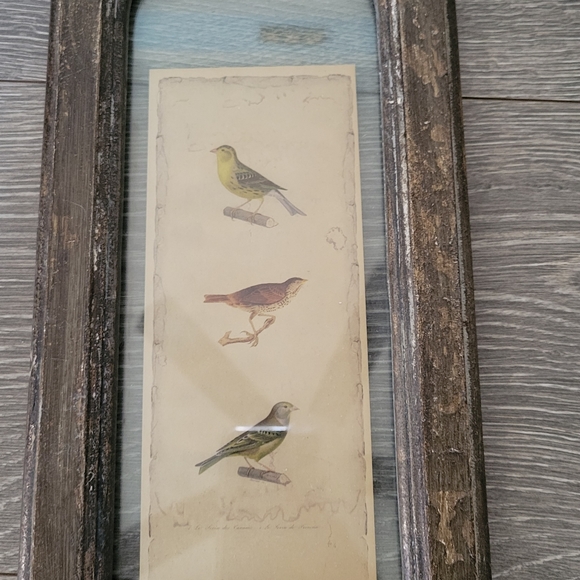 Creative Co-op Home Decor Bird Print 14x 6.5 Antiqued Frame - Picture 4 of 6